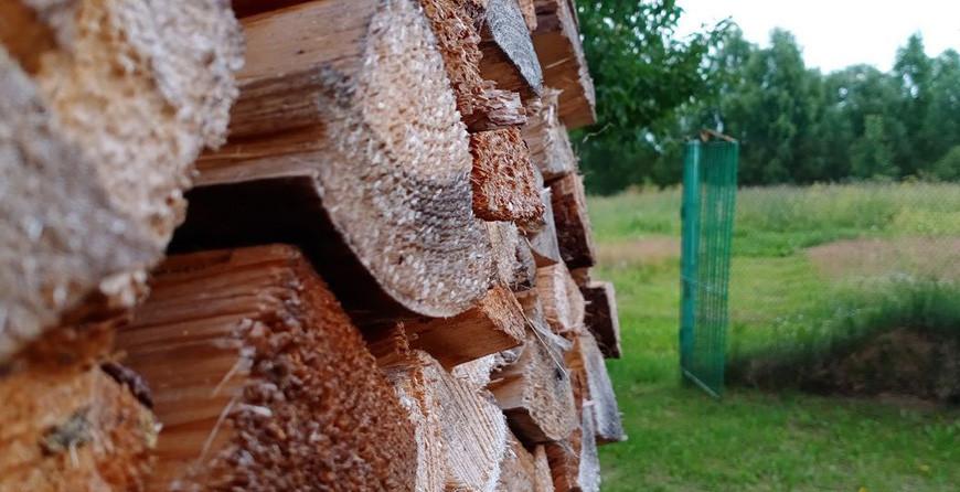 Дрова - новое золото. Как Европа собирается греться зимой