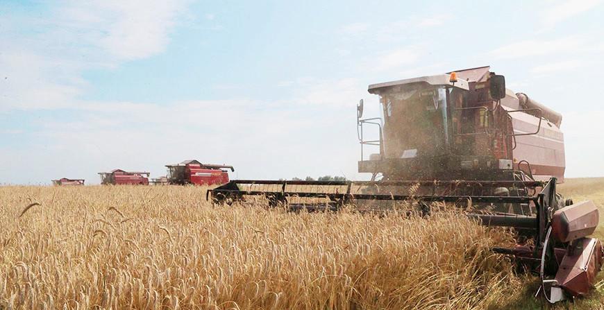 Они на страже продовольственной безопасности: труженикам АПК посвящается