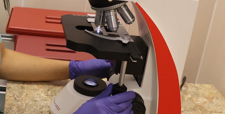 Опасный десерт выявлен в продаже в Гродненской области