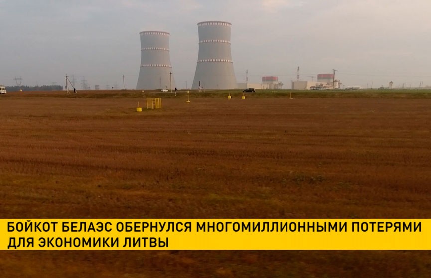 Бойкот БелАЭС обернулся многомиллионными потерями для экономики Литвы