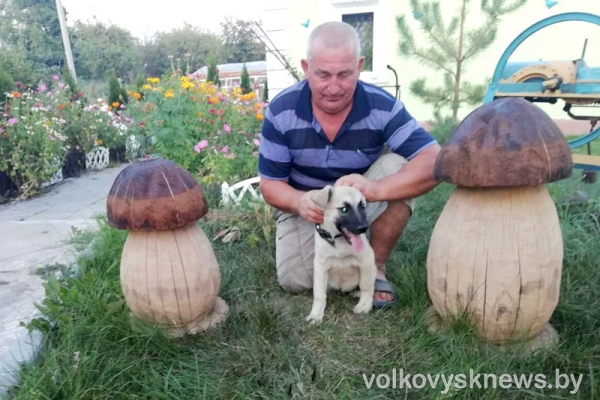 Как живет щенок, которого в августе спасли работники Волковысского РОЧС 