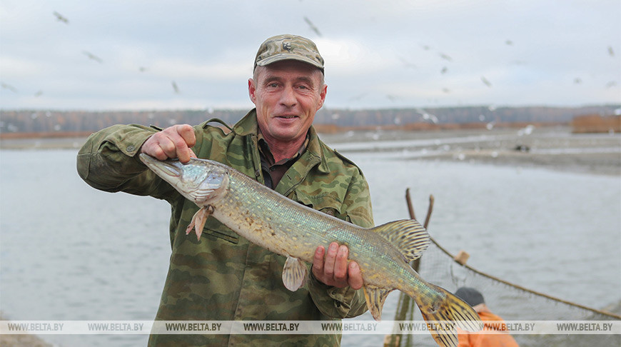 Запрет на лов щуки вводится с 1 марта в большинстве регионов Беларуси