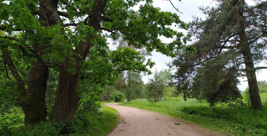 В 11 районах Гродненской области введены ограничения на посещение лесов
