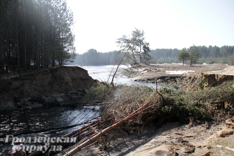 Возле деревни Гожа Гродненского района "убежало" озеро (ФОТО)