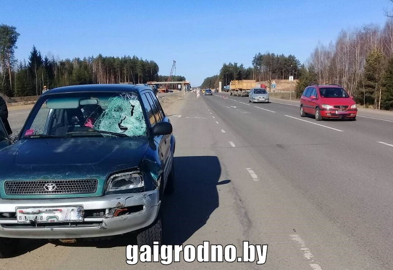 Наезд на пешехода произошел на участке М6 в Ивьевском районе