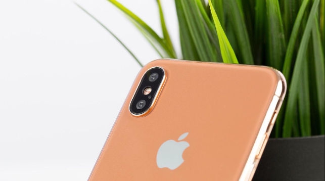 Новые iPhone возможно не будут работать на территории России