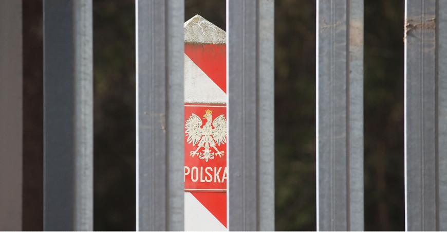 Польша начала строительство пограничного забора на территории Беловежской пущи