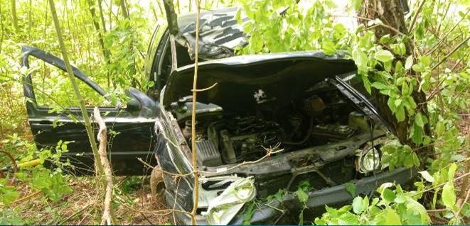 Под Волковыском произошло ДТП с участием лося: водитель погиб