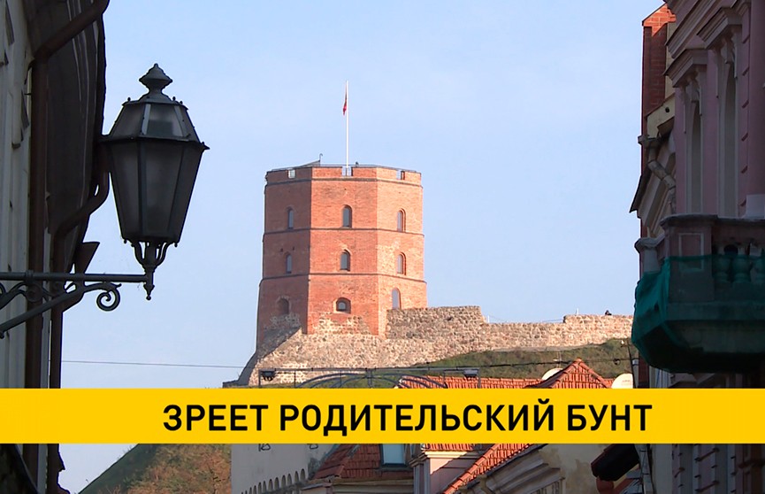 В Литве родители школьников протестуют против неэффективной системы дистанционного образования