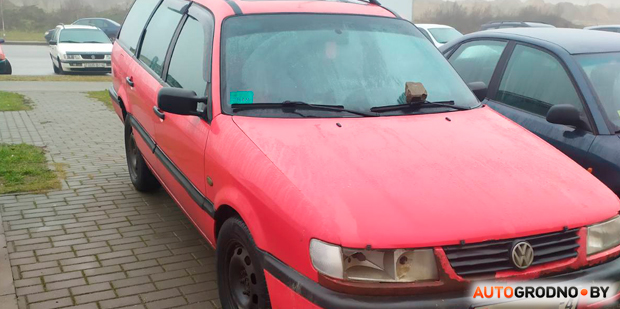 В Гродно любителей парковаться на тротуарах "воспитывают" кирпичом