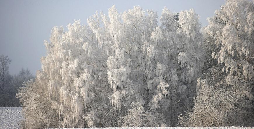 Морозы до -23°С, сильный ветер и гололедица. Синоптики о погоде с 21 по 26 февраля
