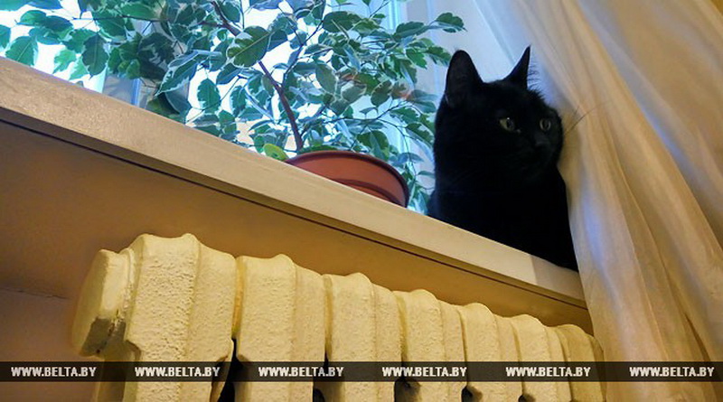 Отопление вернется в квартиры жителей Гродно 