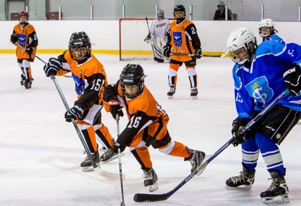 Финал соревнований "Золотая шайба" в старшей возрастной группе в дивизионе Б стартует в Пружанах
