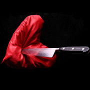 К 6 годам лишения свободы приговорена гродненка, ударившая мужа ножом в сердце