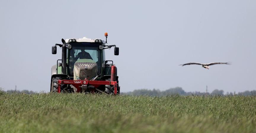 В Гродненской области продолжается первый укос трав 