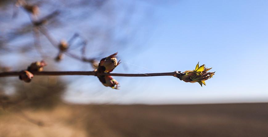Белгидромет: погодные условия позволили активизировать проведение полевых сельскохозяйственных работ