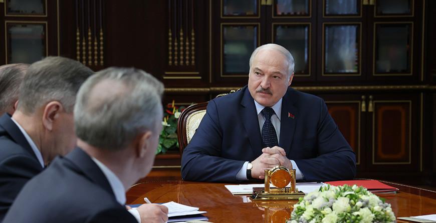 "Безответственность полнейшая". Александр Лукашенко высказал критику по поводу медленных темпов лесовосстановления в Беларуси