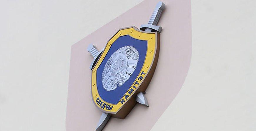 Жительница Сморгонского района успела спасти жизнь своему ребенку