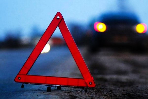 В Гродно 9-летняя школьница внезапно выбежала на дорогу и попала под машину