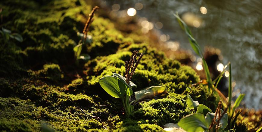 Порывистый ветер и до +29°С прогнозируется в Беларуси 23 сентября