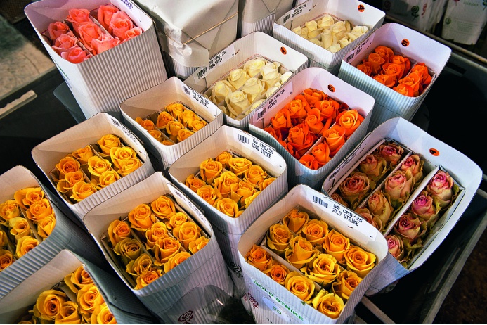 На таможне в Берестовице задержана фура с нелегальными цветами