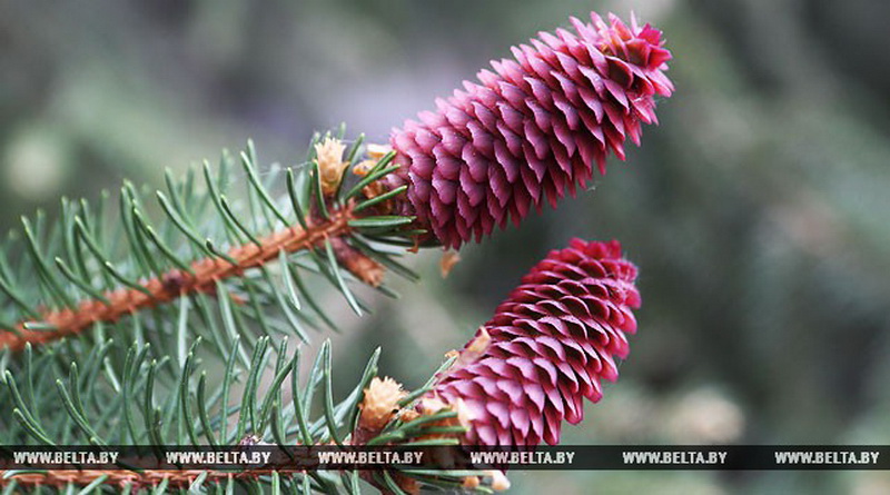 Погода в начале следующей недели начнет улучшаться