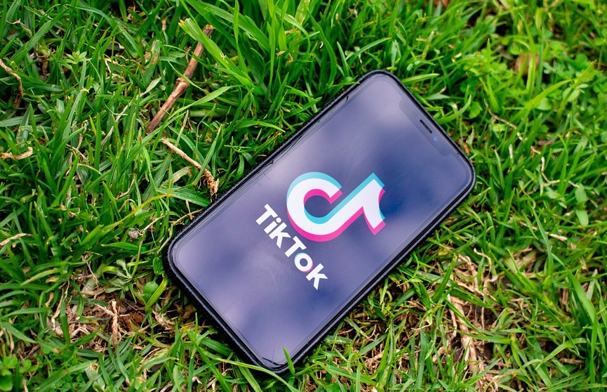 В США предложили запретить TikTok
