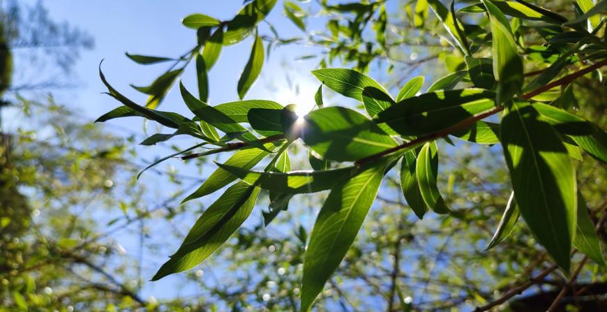 До +30°С ожидается в Беларуси 16 июня