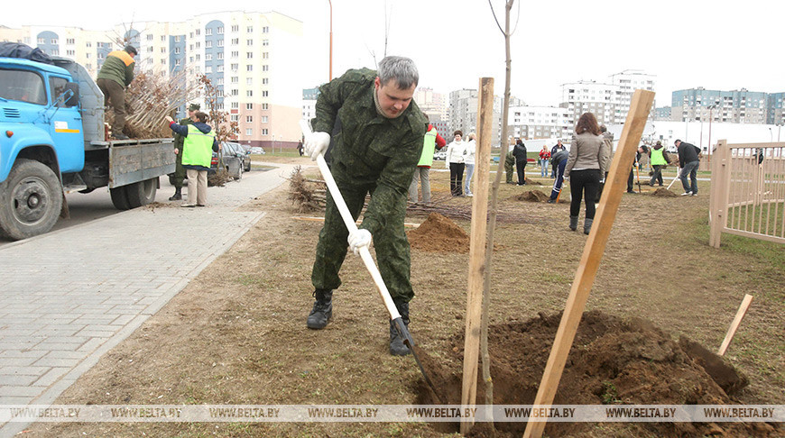 Весной в Гродно высадят более 1,5 тыс. деревьев