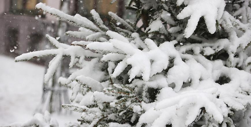 На 8 Марта будет снег. Синоптик Рябов рассказал о погоде на предстоящую неделю