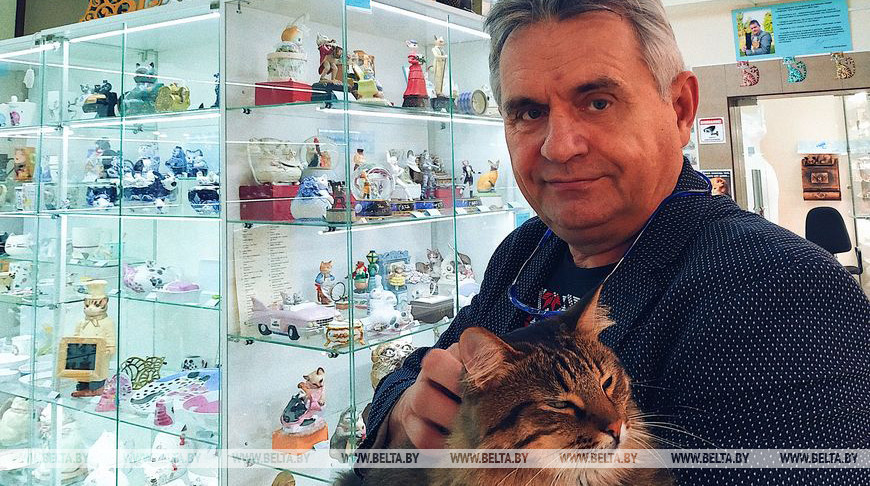 РЕПОРТАЖ: Кошкин дом, где учат доброте, красоте и терпению