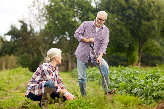 С грядки – к  врачу? Чем чреваты трудовые «марш-броски» на дачных участках