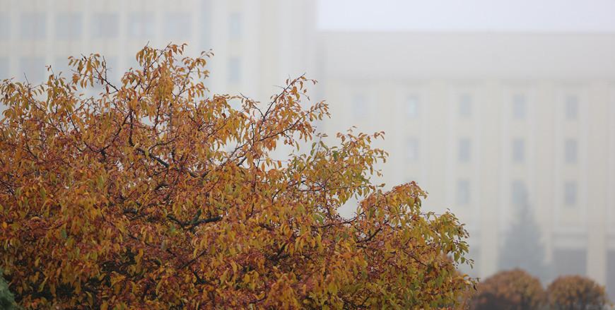 Ночные заморозки и дождь с мокрым снегом ожидаются в Беларуси 14 ноября