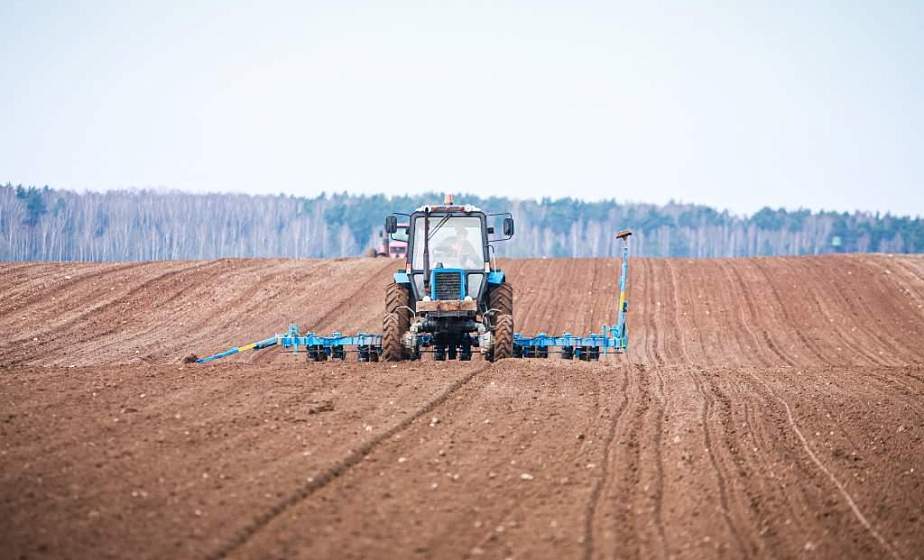 Испытание полем. Как дисциплина влияет на продовольственную безопасность страны