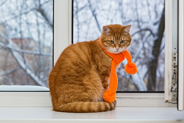 Резкое похолодание прогнозируют 15 февраля на Гродненщине