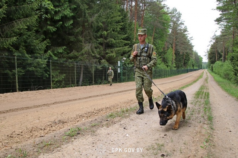 В Островецком районе пограничники задержали россиянина, который пытался незаконно попасть в Литву