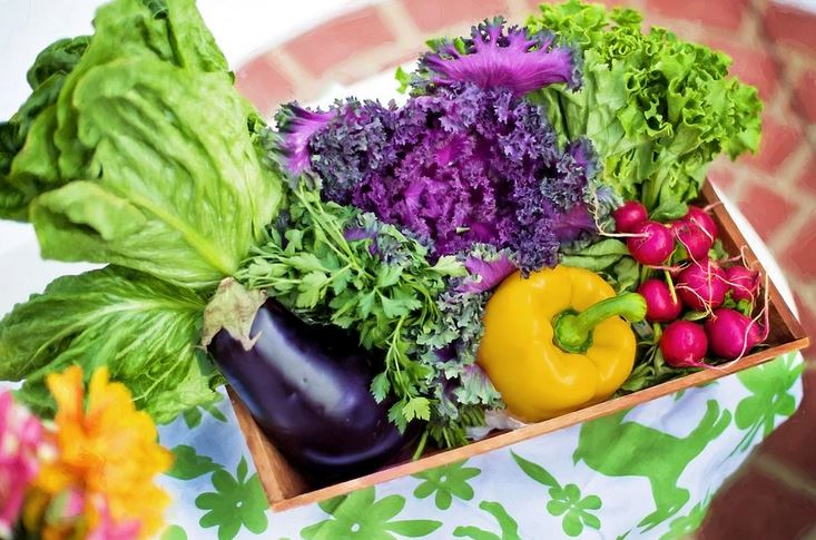 Гастроэнтеролог рассказала, какие продукты помогут сохранить молодость