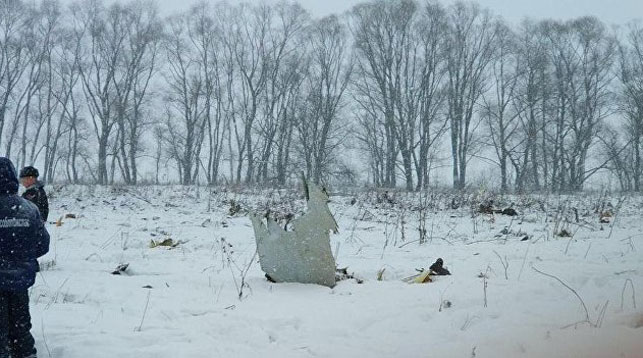 В Подмосковье разбился пассажирский самолет (+Видео)