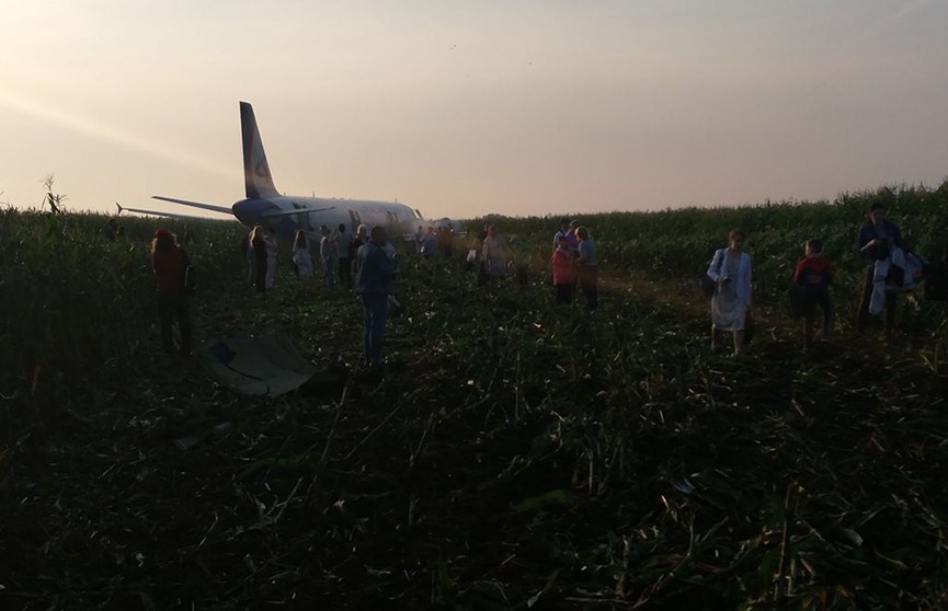 Пассажир Airbus А321 снял на видео жесткую посадку самолета на поле в Жуковском