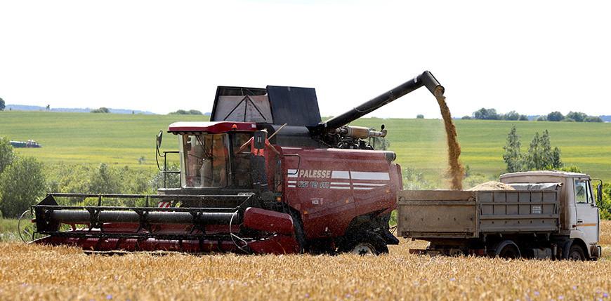 На Гродненщине стартовала уборочная кампания