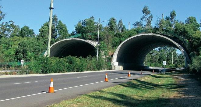 Следы диких копытных животных замечены у строящегося для них подземного перехода на автомагистрали М6