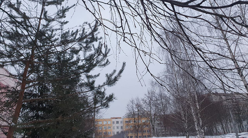 Оранжевый уровень опасности объявлен в Беларуси 5 января из-за гололеда
