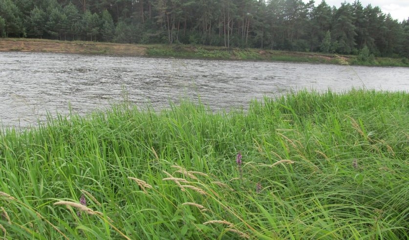 За истекшие выходные в Гродненской области утонули 5 человек