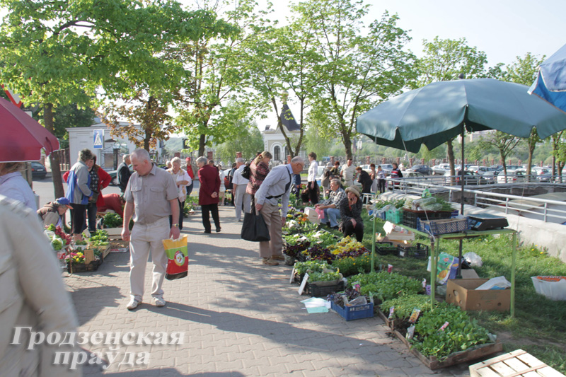 Торгуешь цветами и рассадой - заплати налог