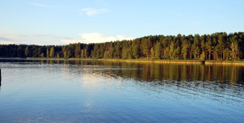 Откроют ли пляж на Молочном озере?