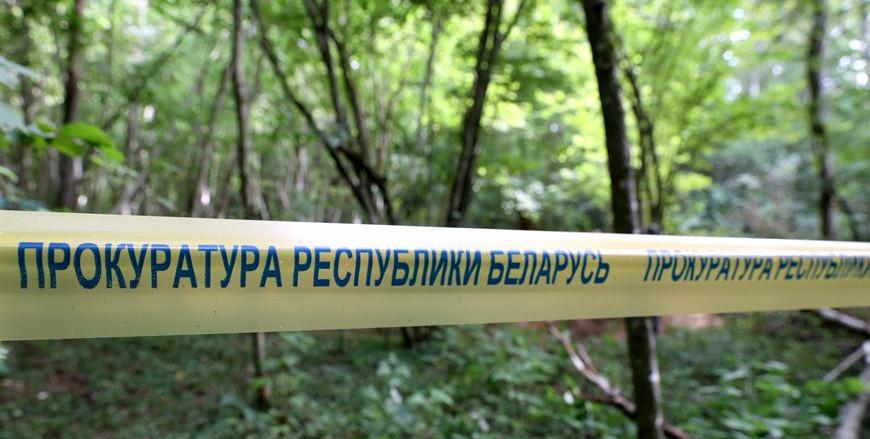 Андрей Швед: на этот год определены около 30 мест раскопок по делу о геноциде белорусского народа