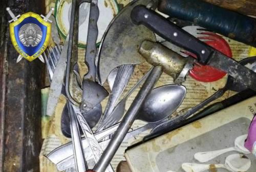 В Щучинском районе мужчина с кухонным топором напал на пенсионерку