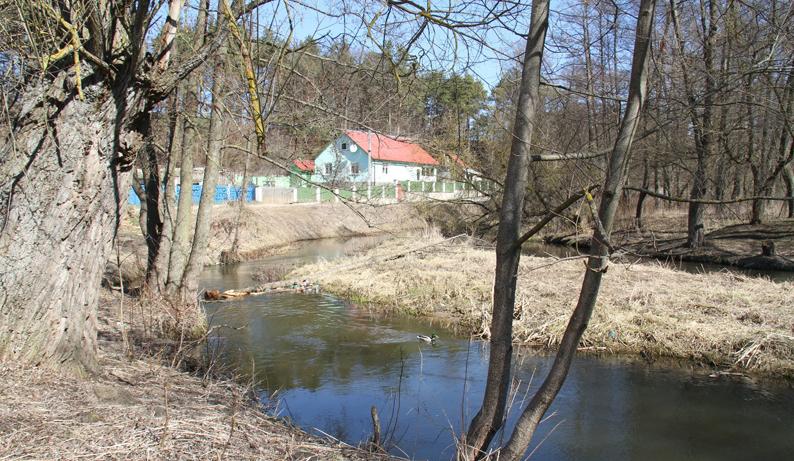 В Гродно обсудят, что будет в районе улицы Соломовой и реки Лососянки. Можно внести предложения 