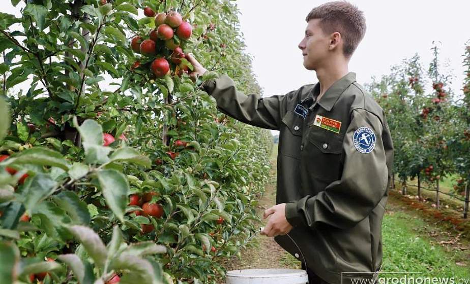 Работа для студентов летом: сколько и где можно заработать?