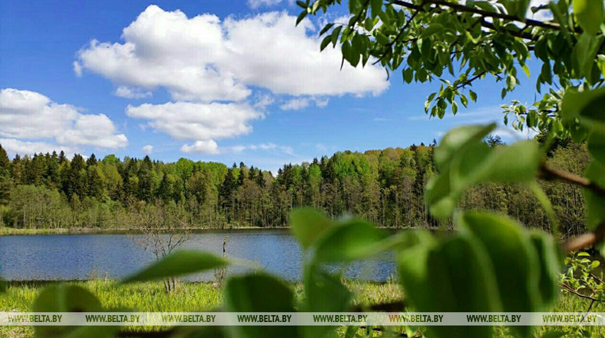 В Беларуси ограничено купание в 18 зонах отдыха, запрещено в 17